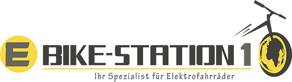logoEBikeStation1